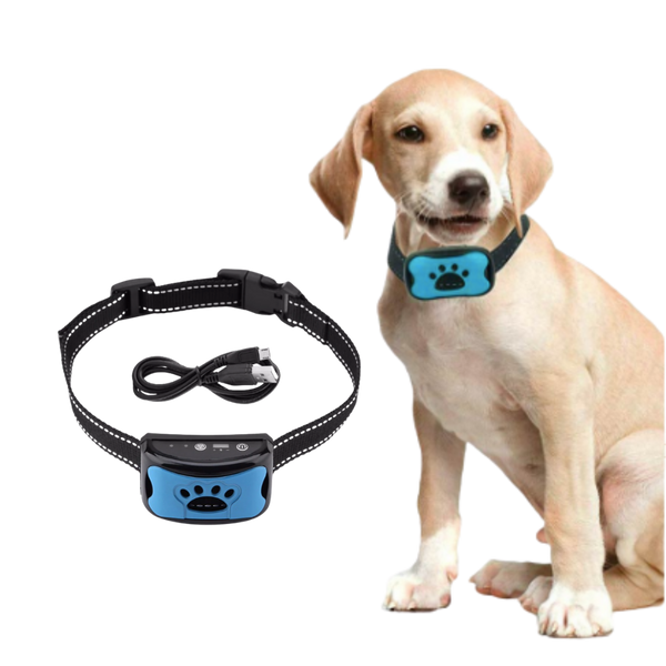 Anti bark dog collar