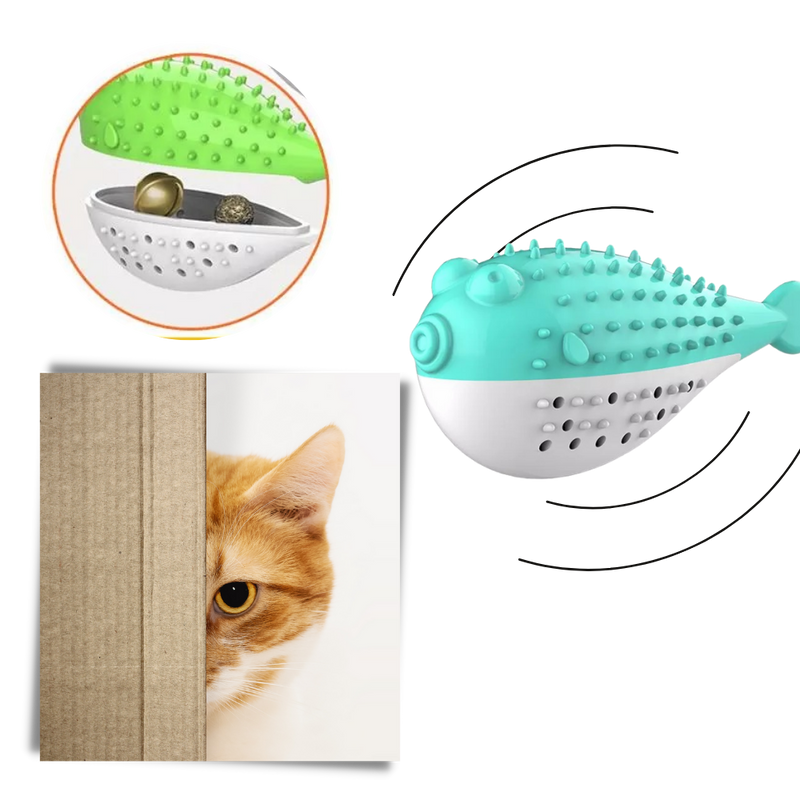 Fish shaped refillable cat toothbrush