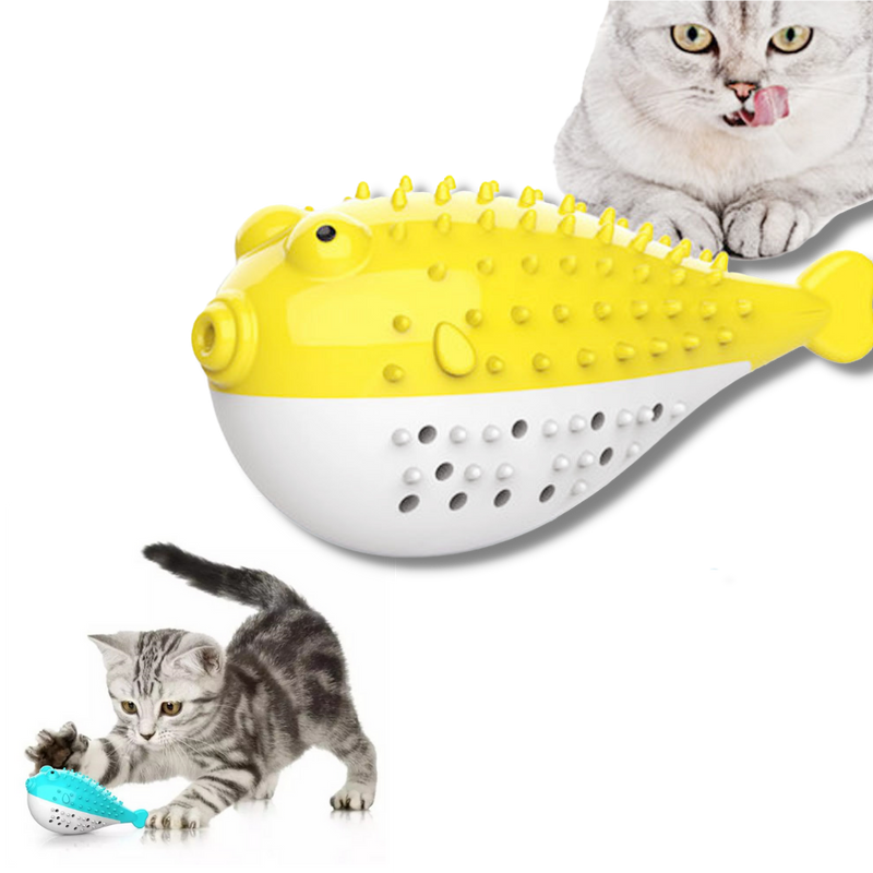 Fish shaped refillable cat toothbrush
