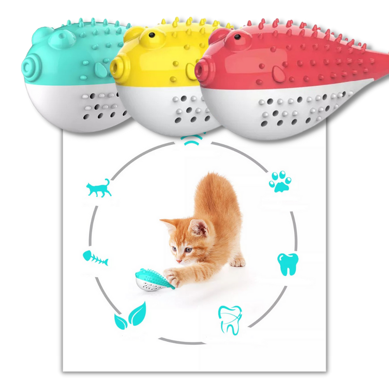 Fish shaped refillable cat toothbrush