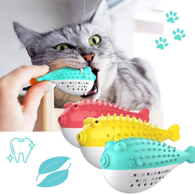 Fish shaped refillable cat toothbrush