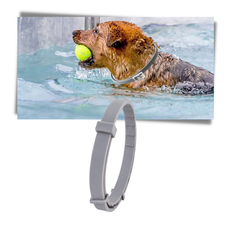 Anti-Flea Collar for Pets