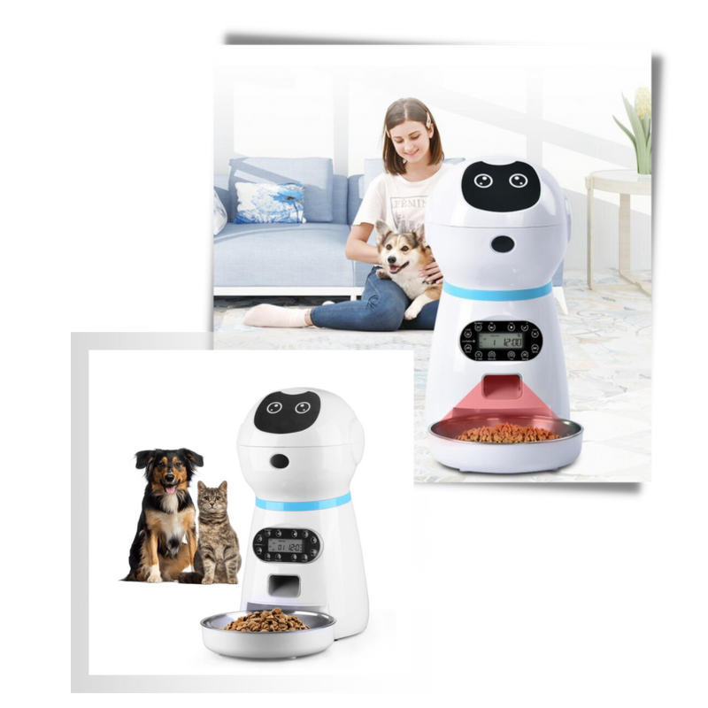 Automatic Pet Food Dispenser