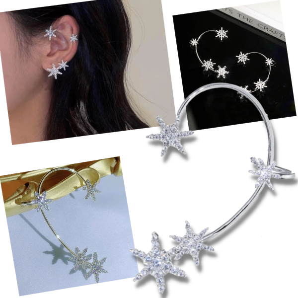 Pair of Zirconia Clip-on Fashion Earrings