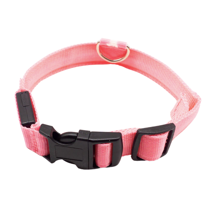 LED light pet collar