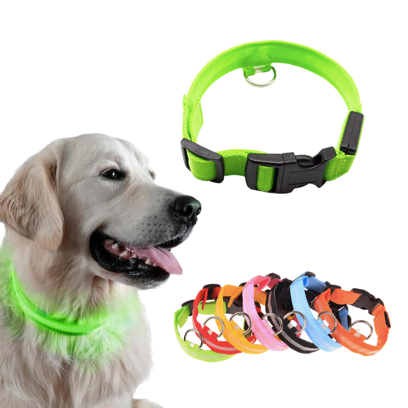 LED light pet collar