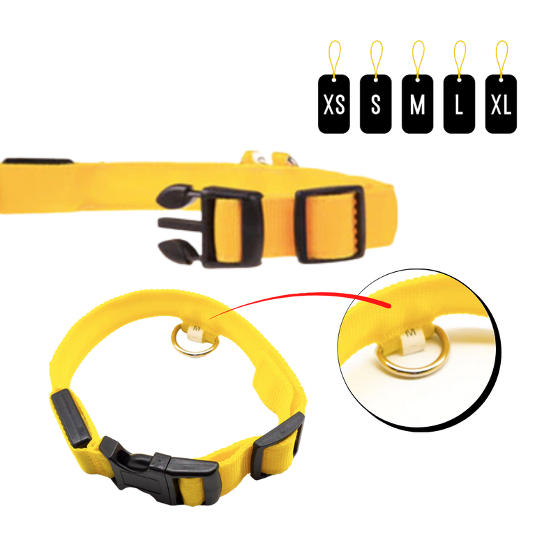LED light pet collar