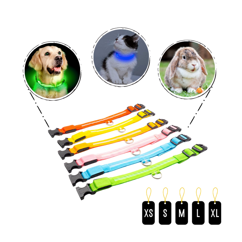 LED light pet collar