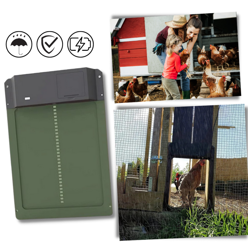 Automatic Chicken Coop Door