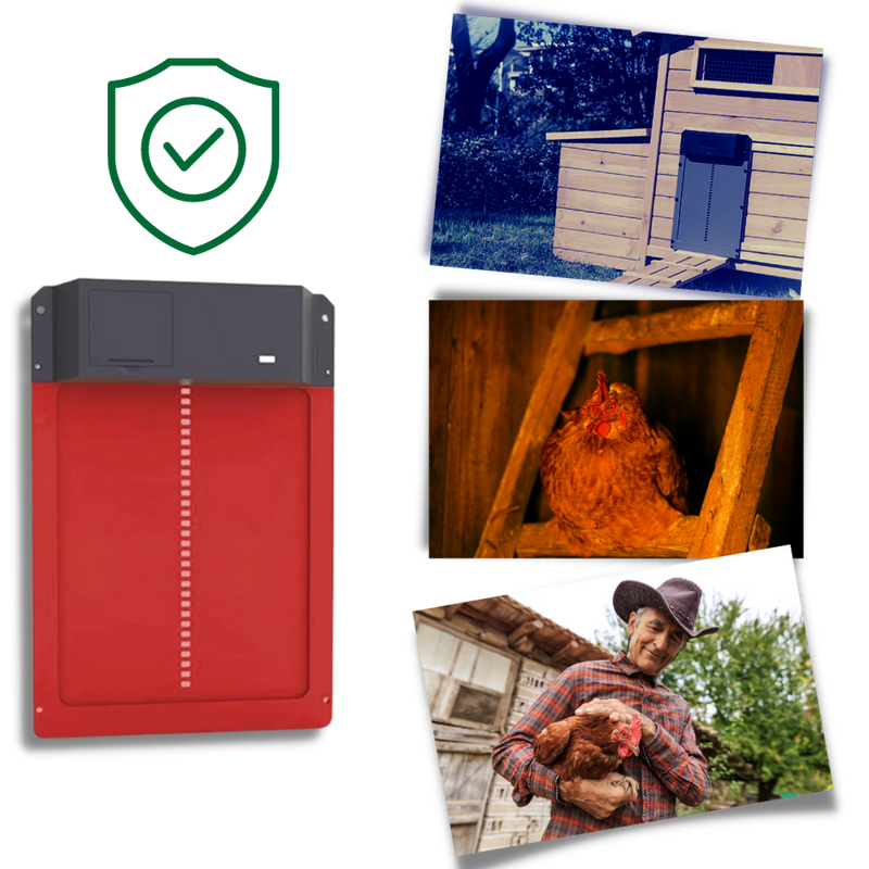 Automatic Chicken Coop Door