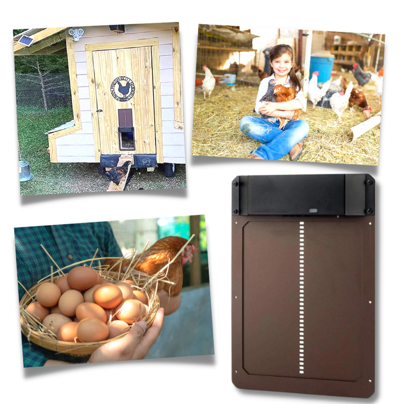 Automatic Chicken Coop Door