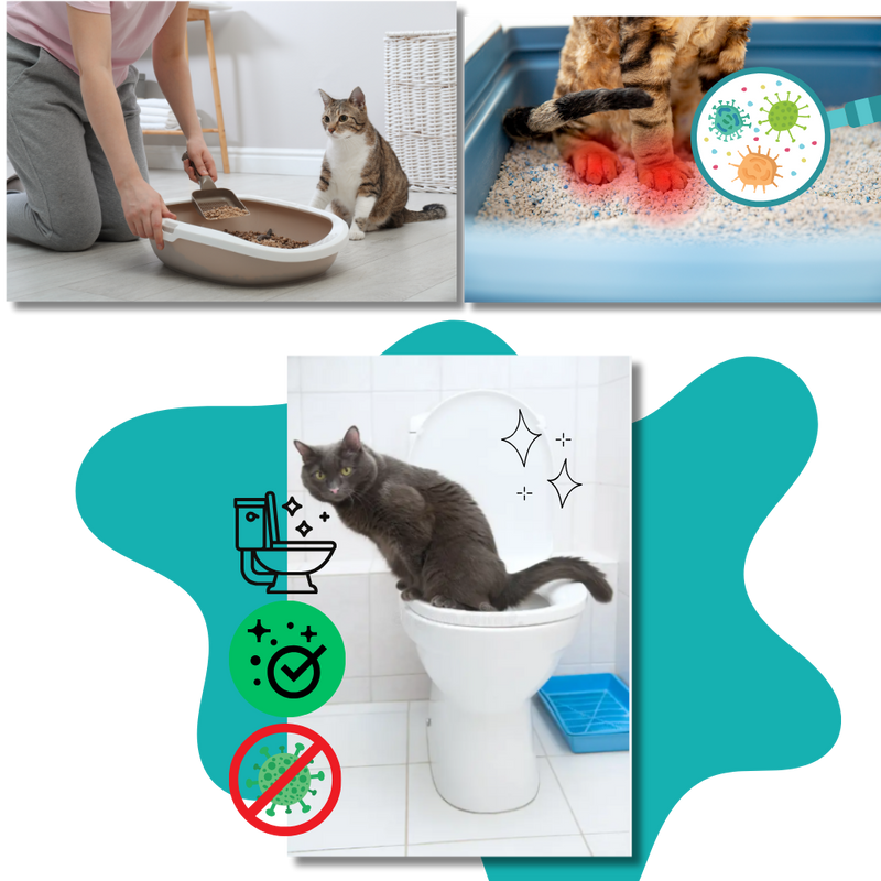 Easy Training Cat Litter Toilet Trainer