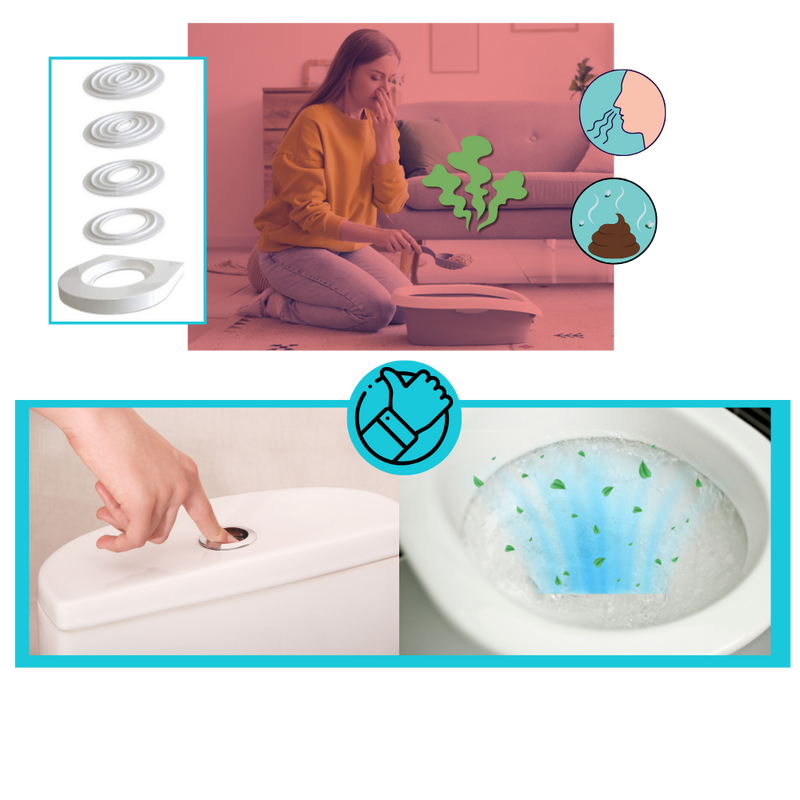 Easy Training Cat Litter Toilet Trainer