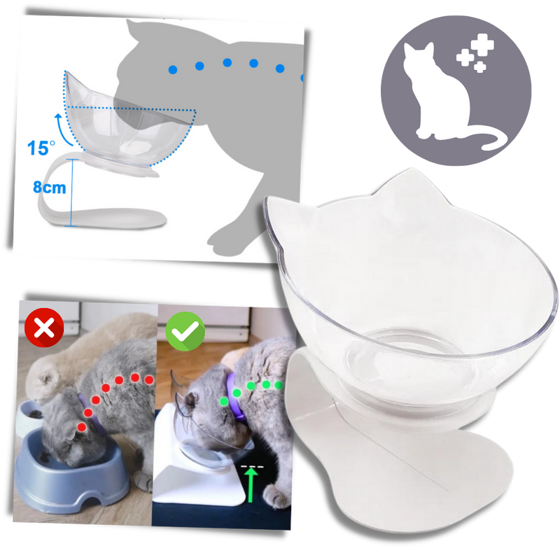 Elevated Comfort Bowl for Cats