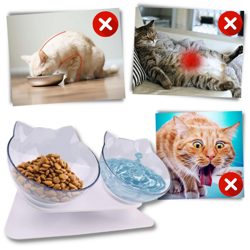 Elevated Comfort Bowl for Cats