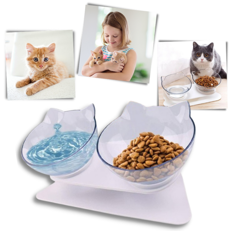 Elevated Comfort Bowl for Cats