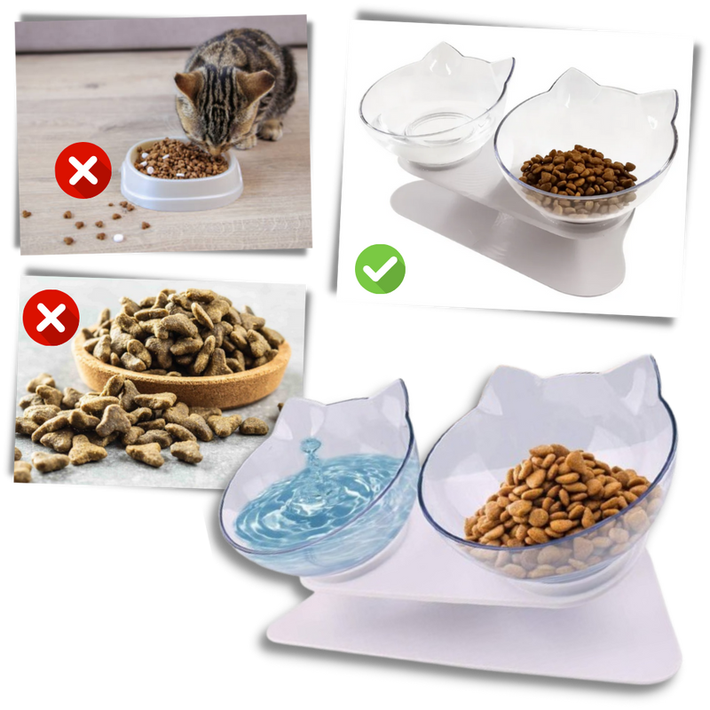 Elevated Comfort Bowl for Cats