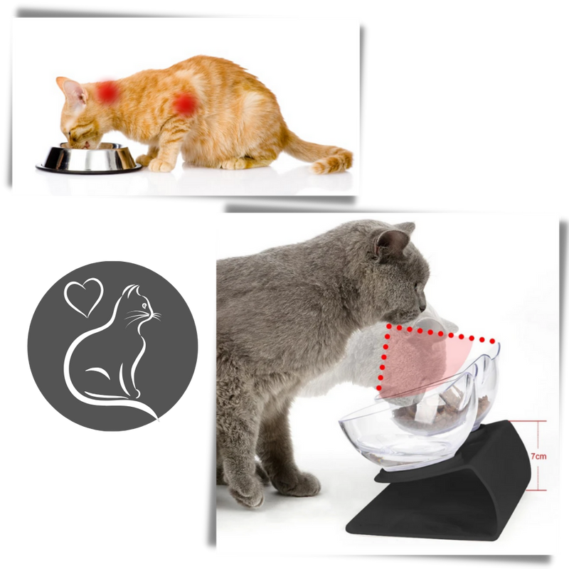 Elevated Comfort Bowl for Cats