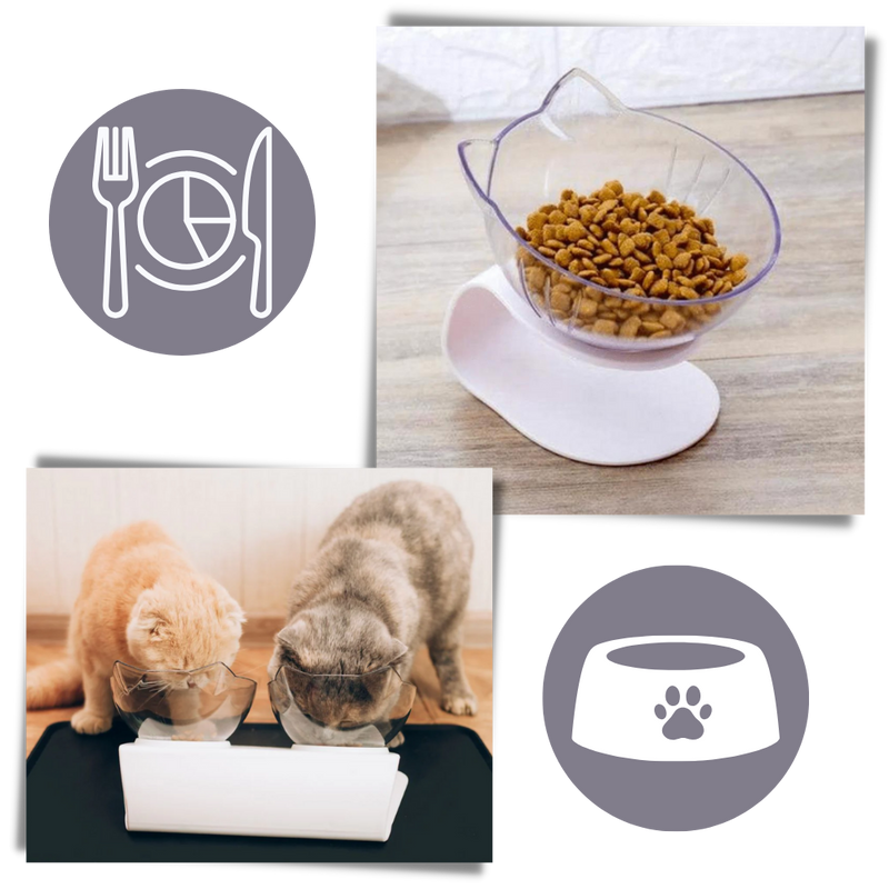 Elevated Comfort Bowl for Cats