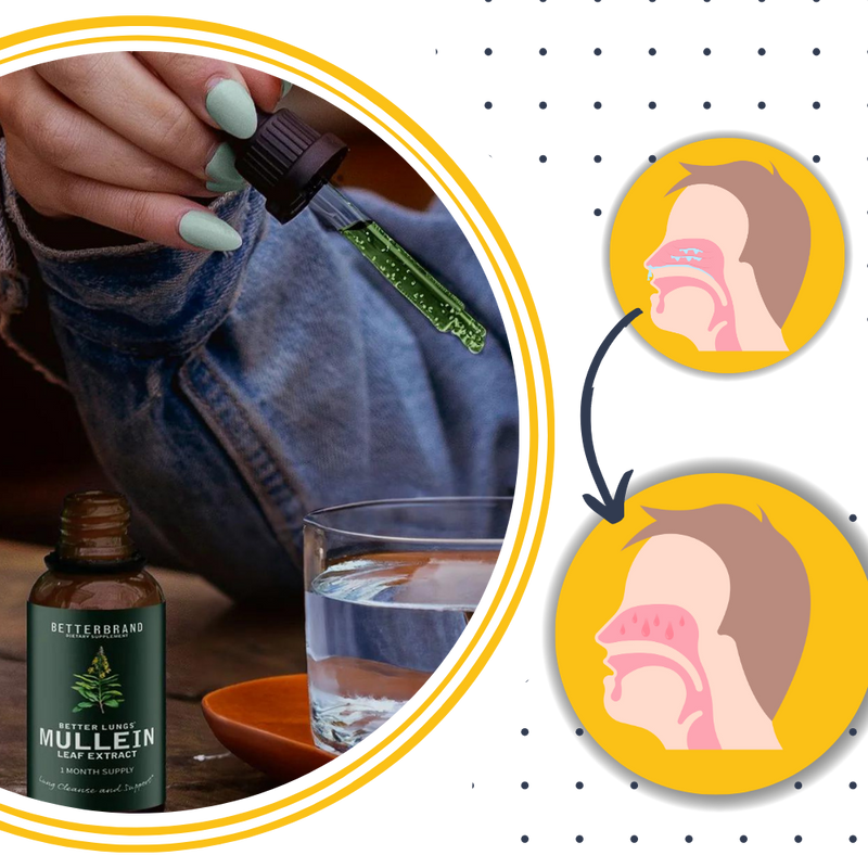 Gluten Free Mullein For Lung Health