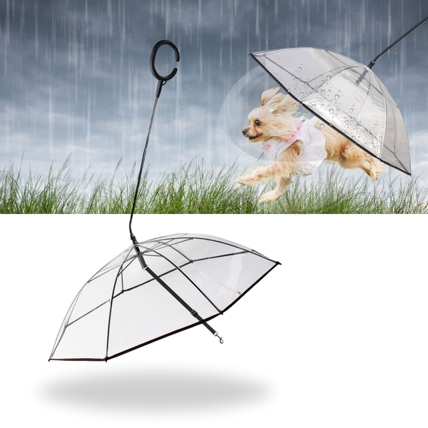 Transparent Dog Umbrella Leash